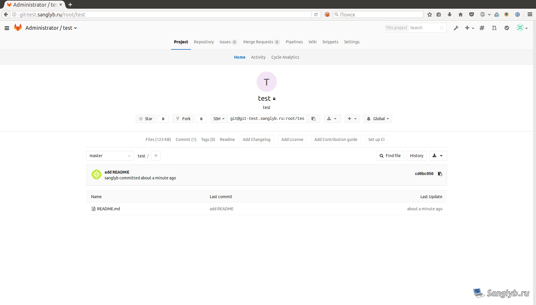 changed gitlab project