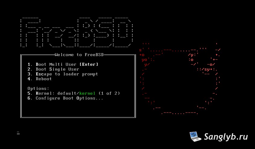 FreeBSD Boot Menu – Highlighting the Boot Single User option.